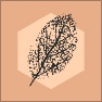 Dead Leaves
