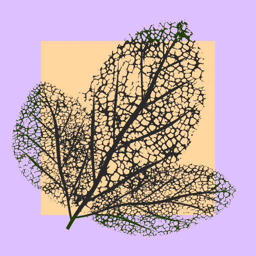 Variation 1