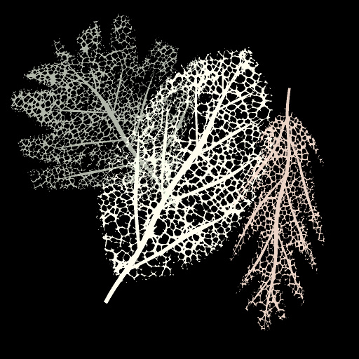 Variation 4
