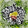 Abstract Layer Painter