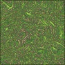 Alien_fingerprint