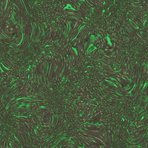 Variation 3