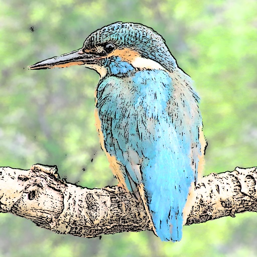 Variation 6
