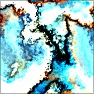 Texture Beast