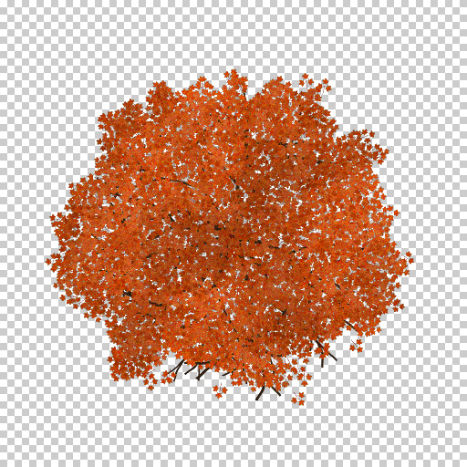 Variation 5