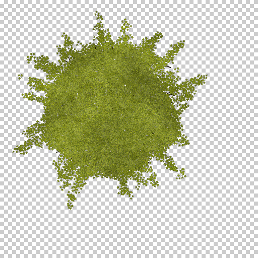 Variation 8