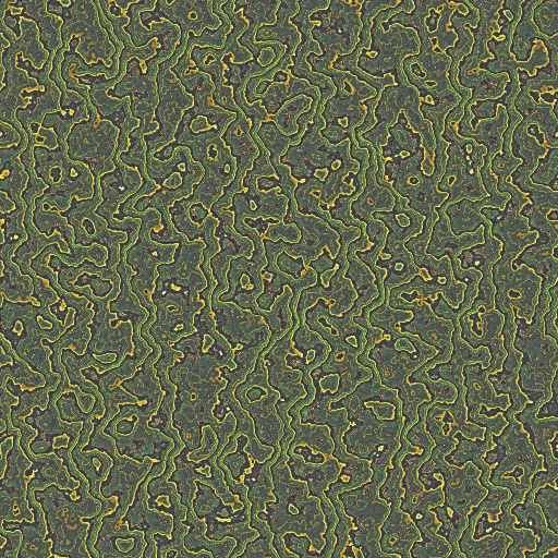 Variation 4