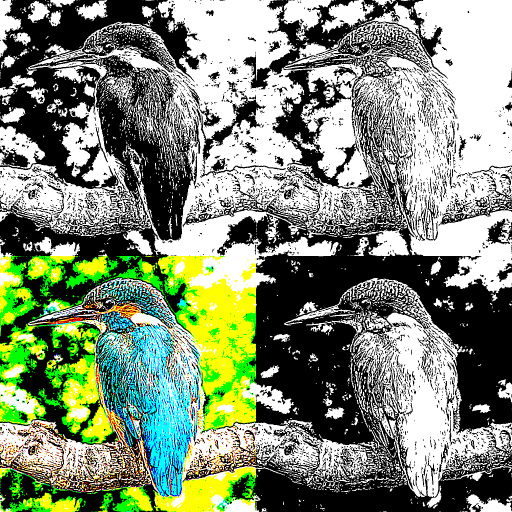 Variation 5