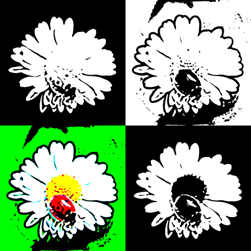 Variation 8