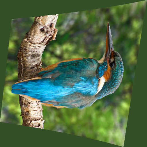 Variation 8