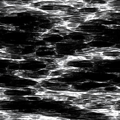 Mental Cages (Texture)