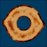 Crisp Toast
