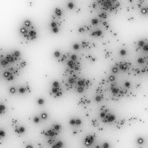 Ambient Occlusion Map