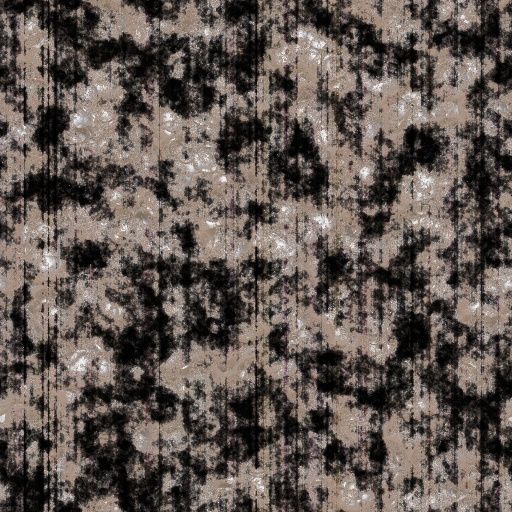 Variation 3