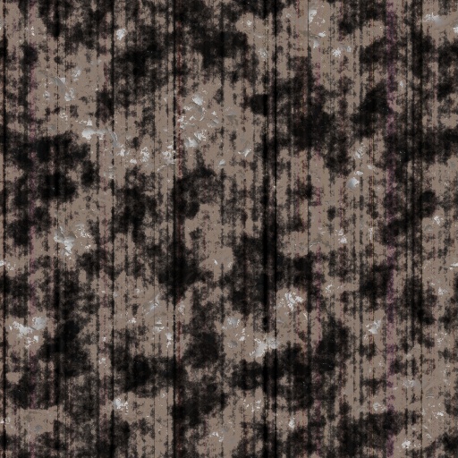 Variation 6