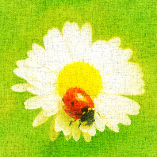 Variation 5