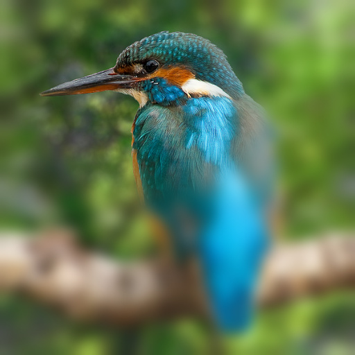 Variation 1