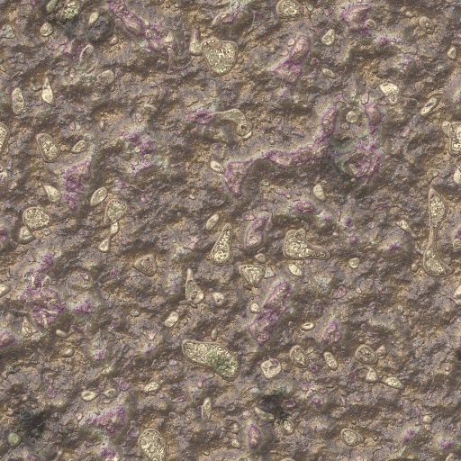Variation 3