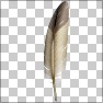 Feather