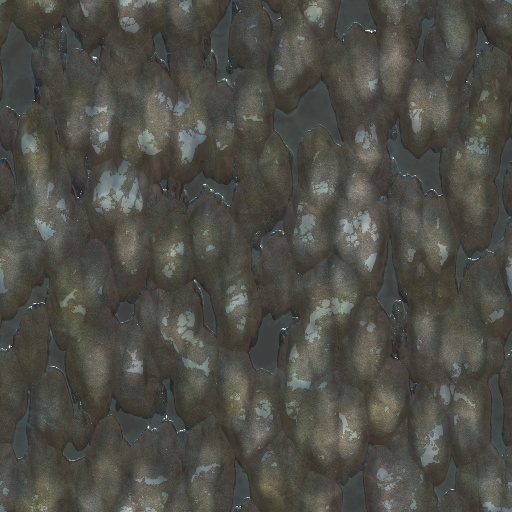 Variation 7