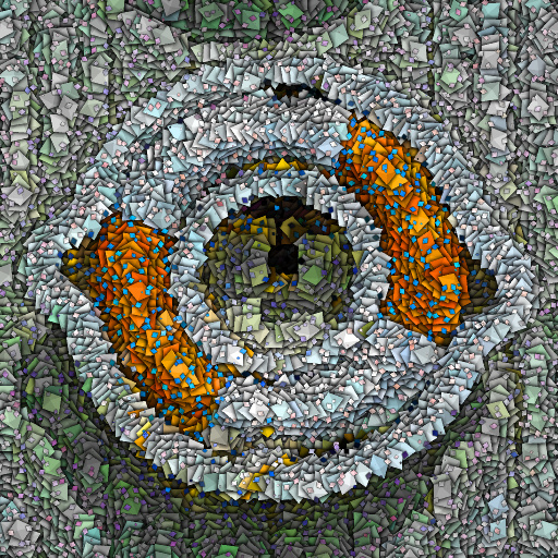 Variation 1