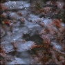 alien nightmare