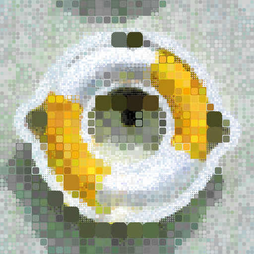 Variation 7