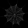 Distorted Spiderweb