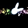 Bunny Storm