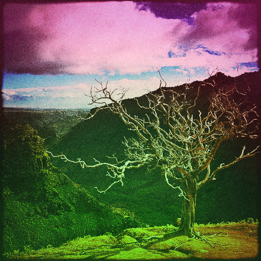 Variation 3