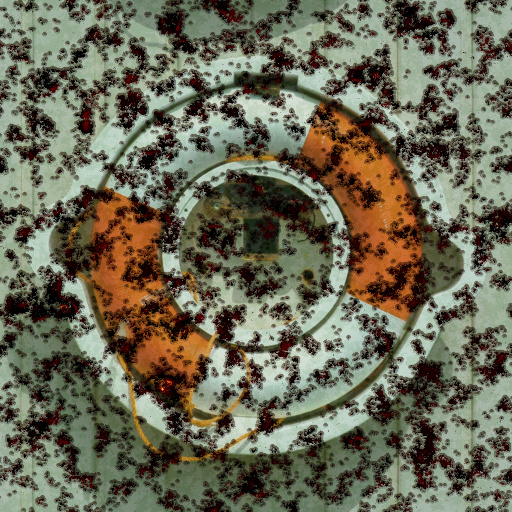 Variation 8