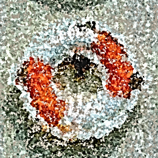 Variation 7