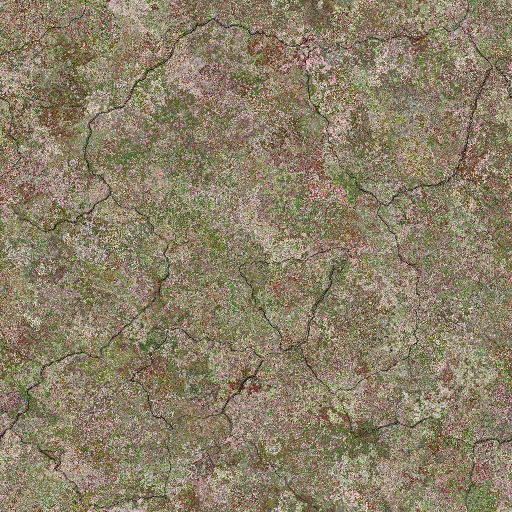 Variation 4