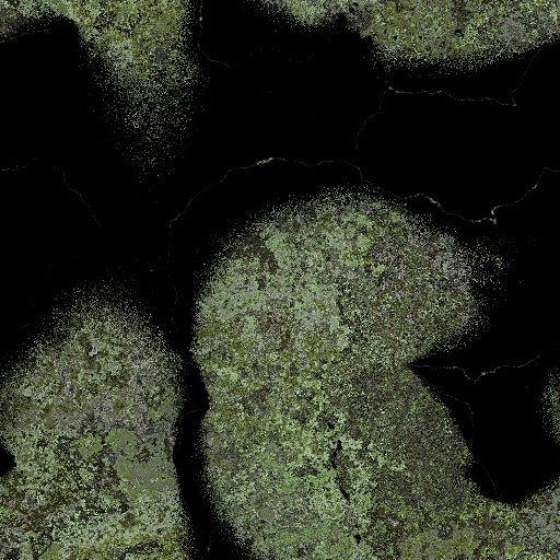 Variation 7