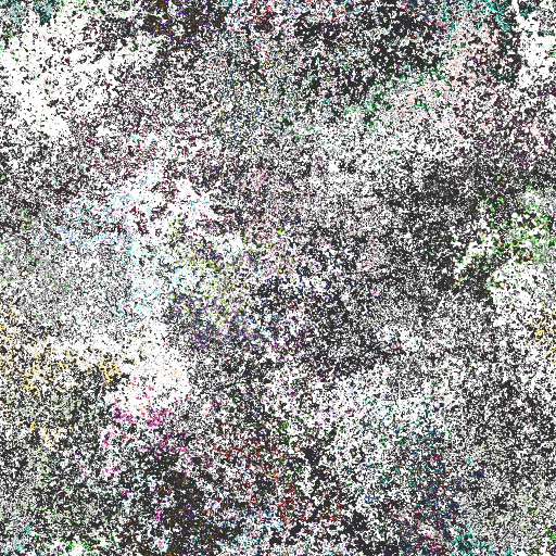 Variation 6