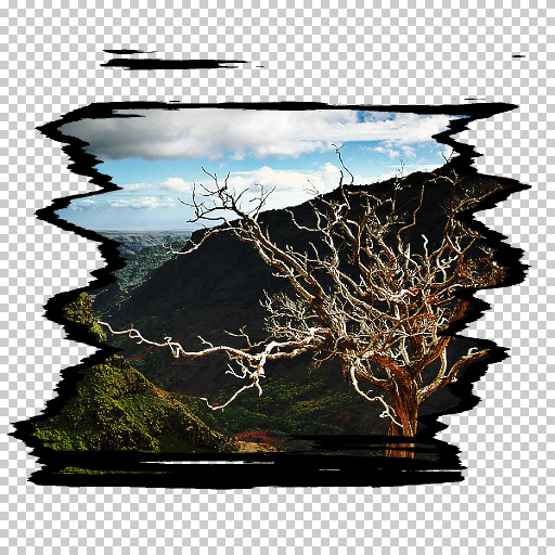 Variation 1