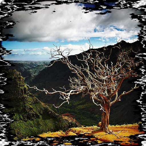 Variation 4
