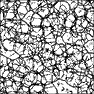 Noise Lab: Spiderweb