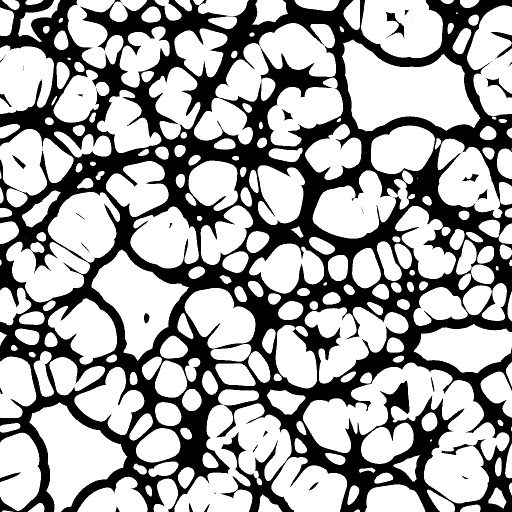 Variation 2