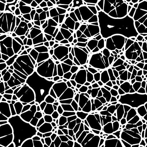 Variation 6