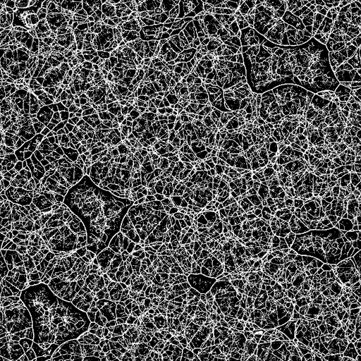 Variation 8