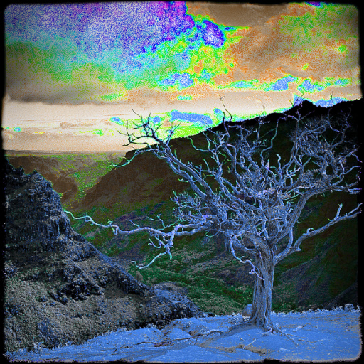 Variation 5