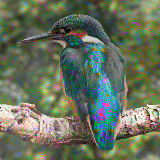 Variation 4