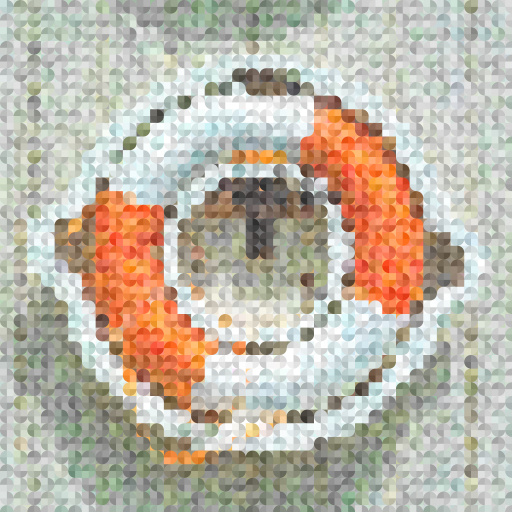 Variation 4