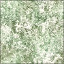 Distressed Plaster