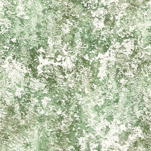 Distressed Plaster (Texture)