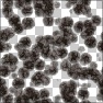 Spores