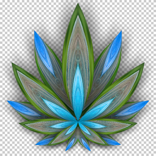 Variation 1