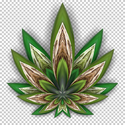 Variation 6