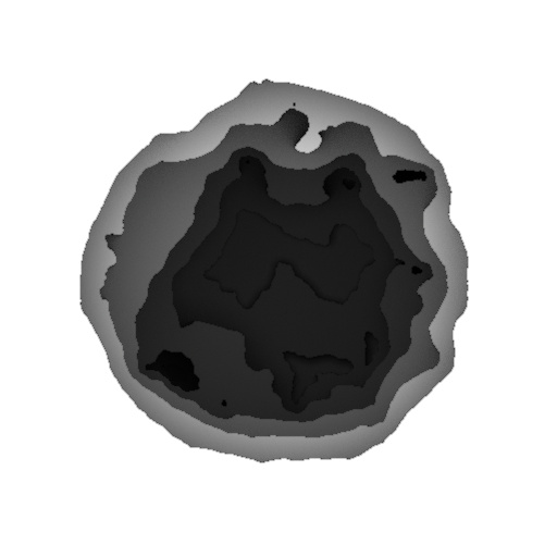 Reflective Occlusion Map